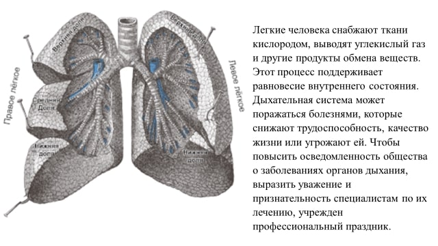 День пульмонолога